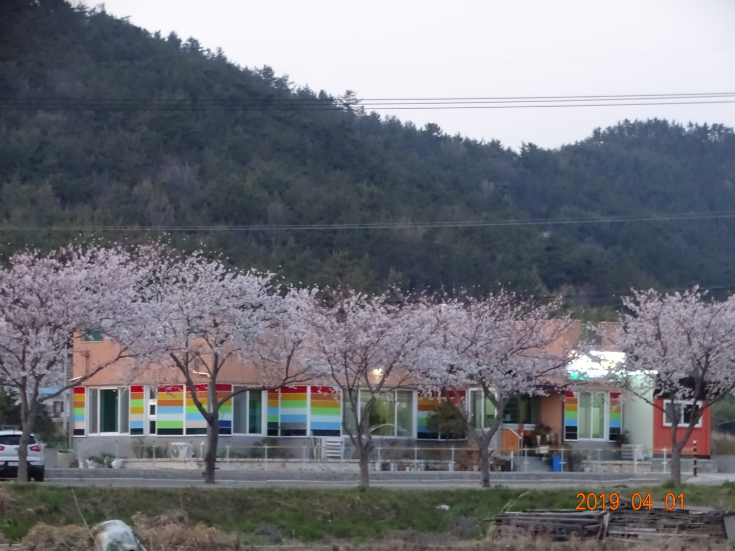 칠색초칼국수