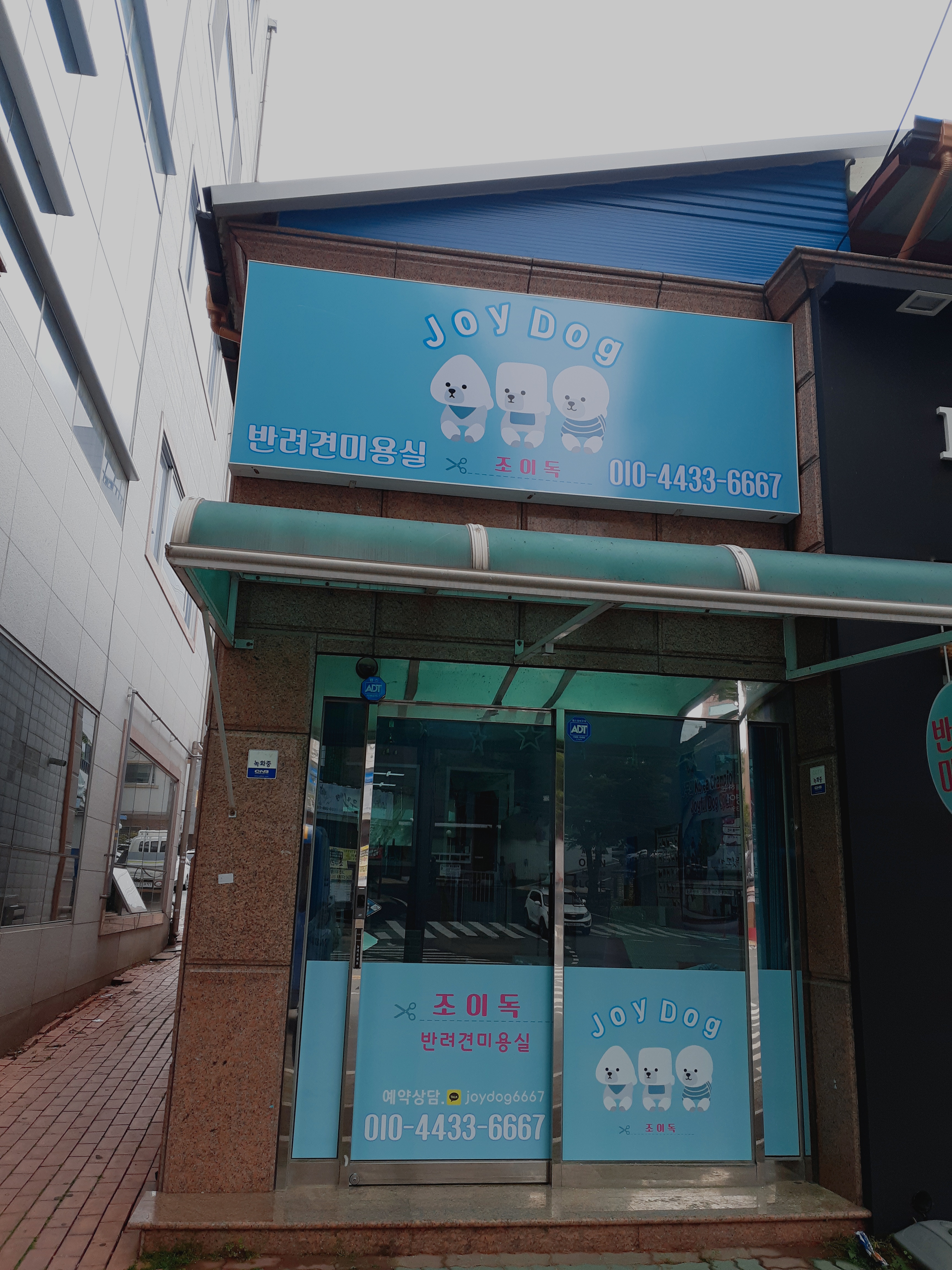 조이독 대표 이미지