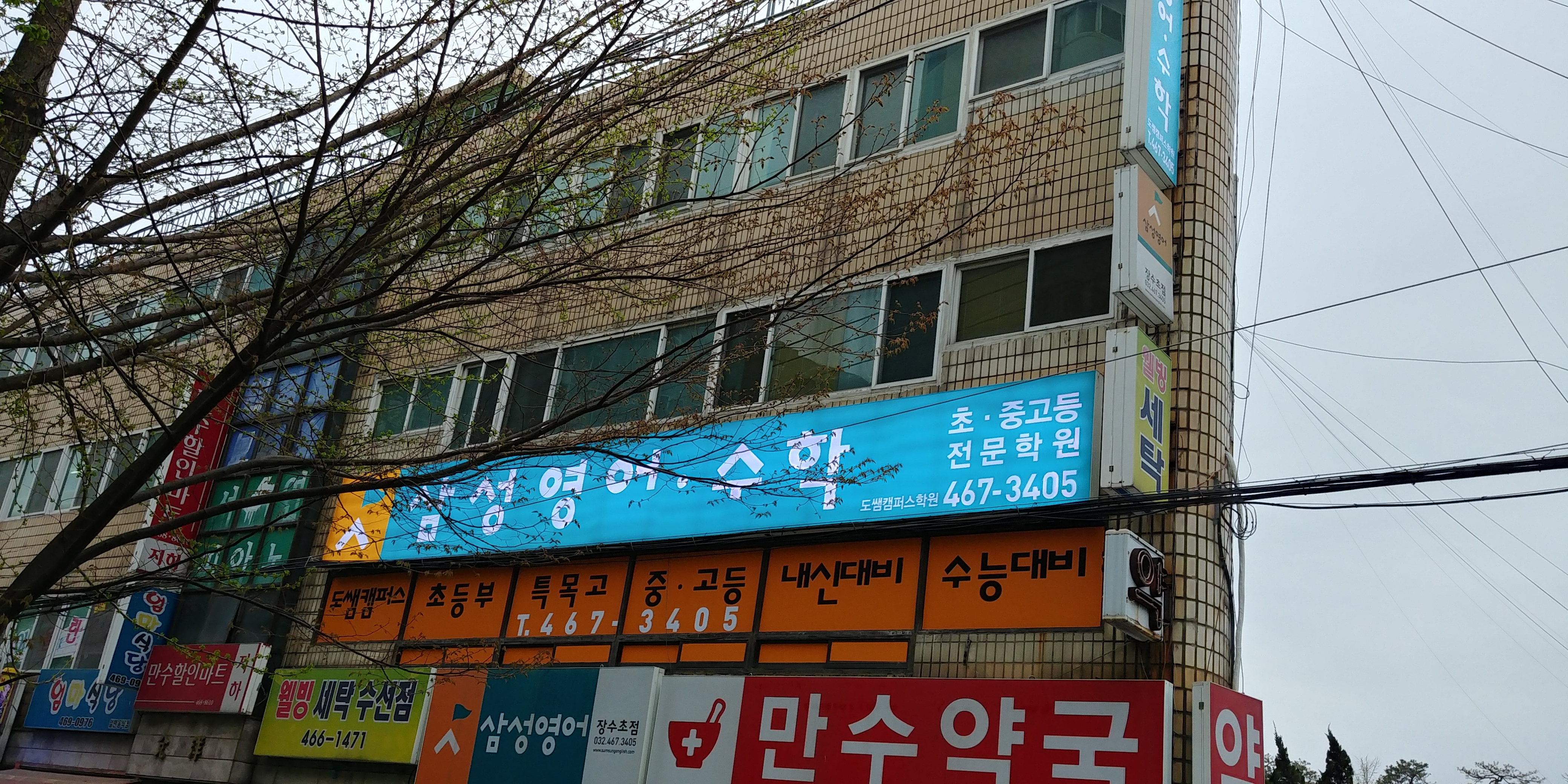 삼성영어 도쌤캠퍼스 대표 이미지