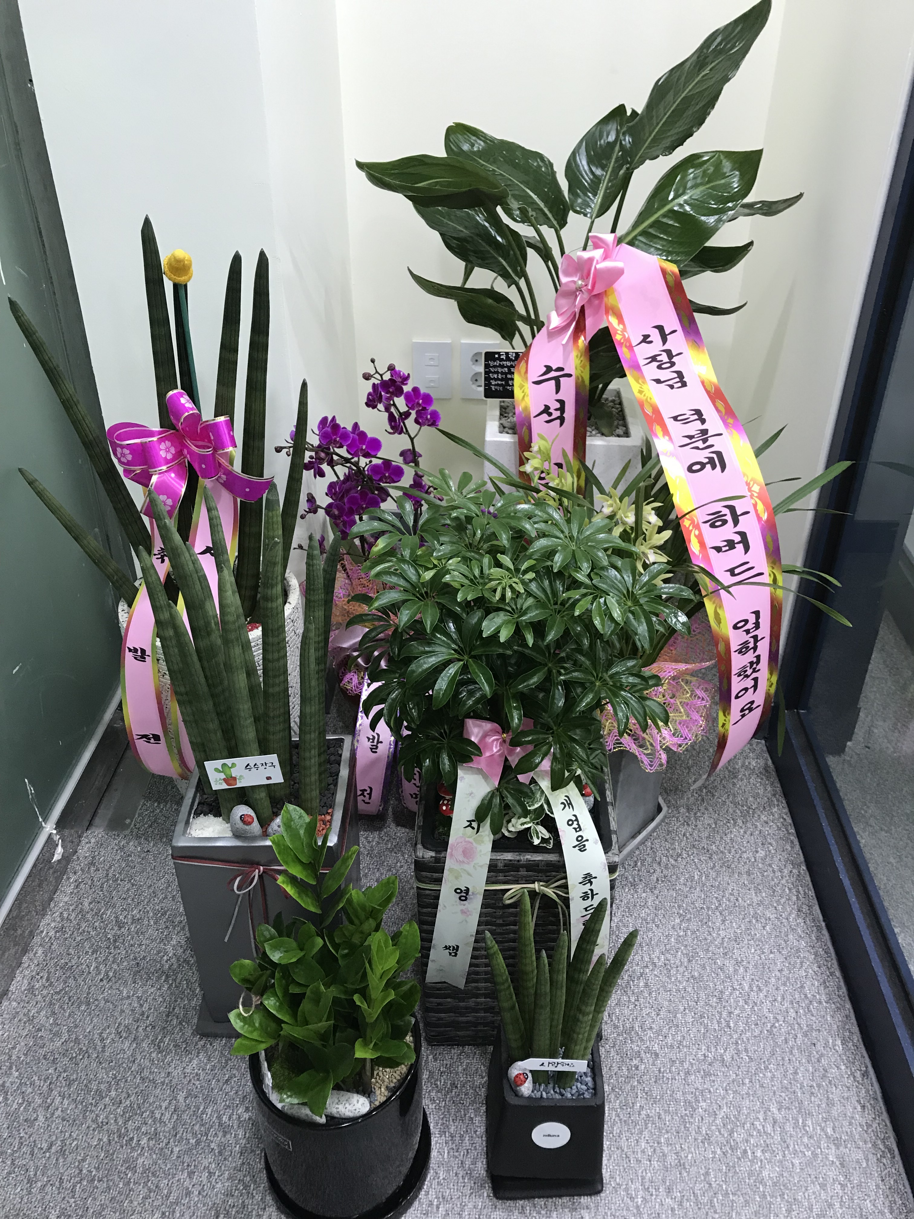 업체사진