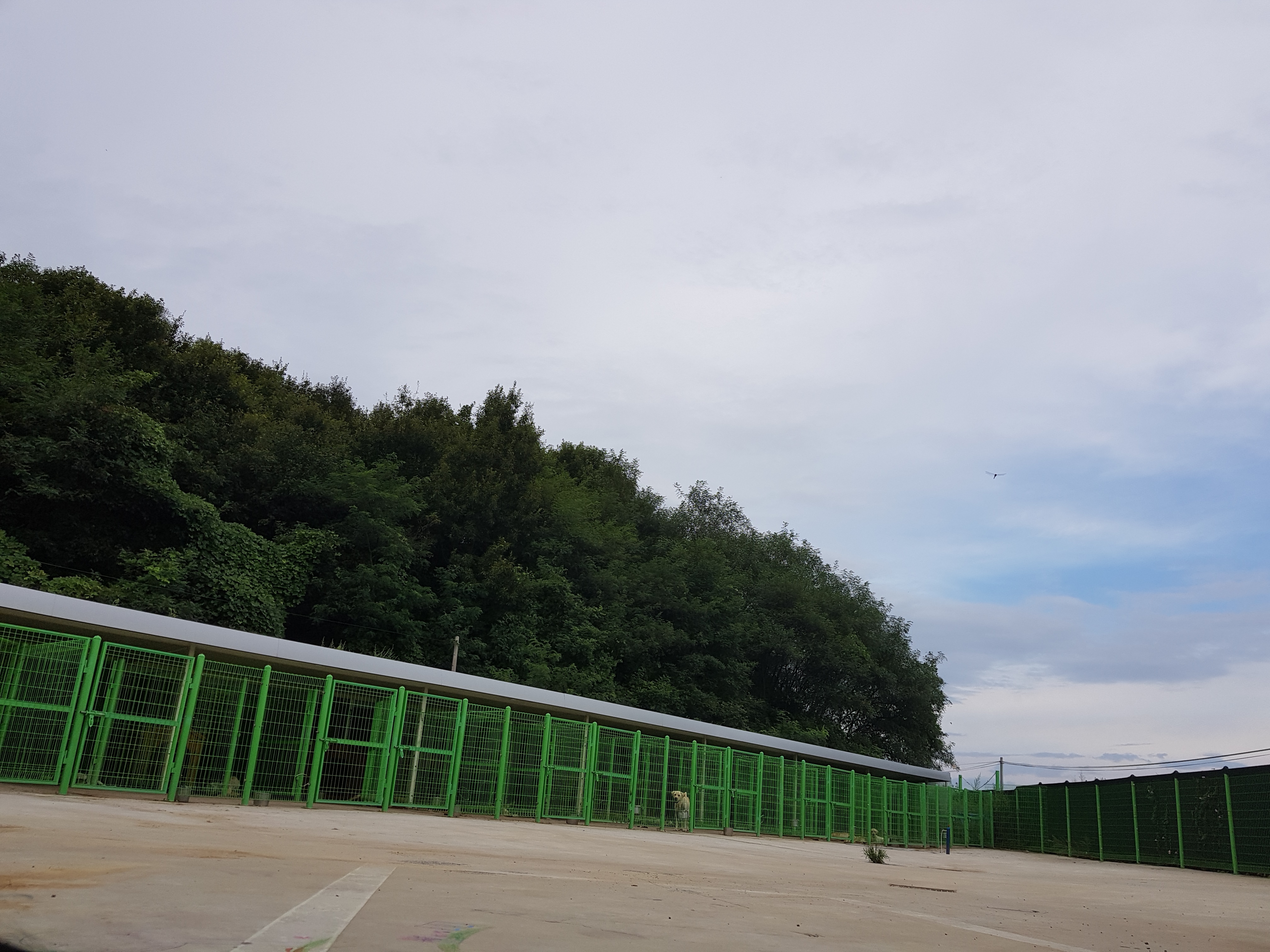 휴먼앤독 대표 이미지