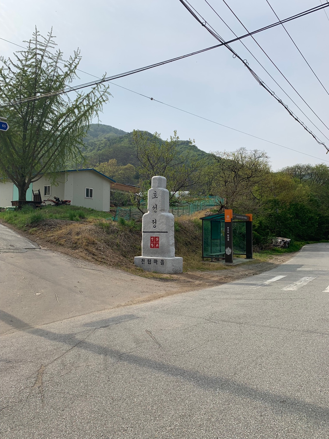 호선정사