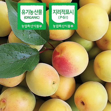 광양참매실농원 이미지 2