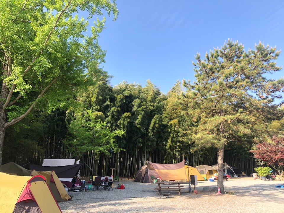 담양대나무골캠핑장