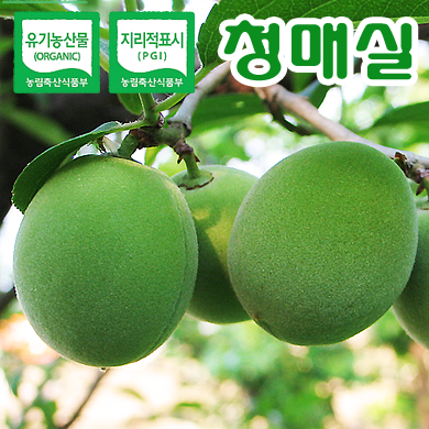 광양참매실농원 이미지