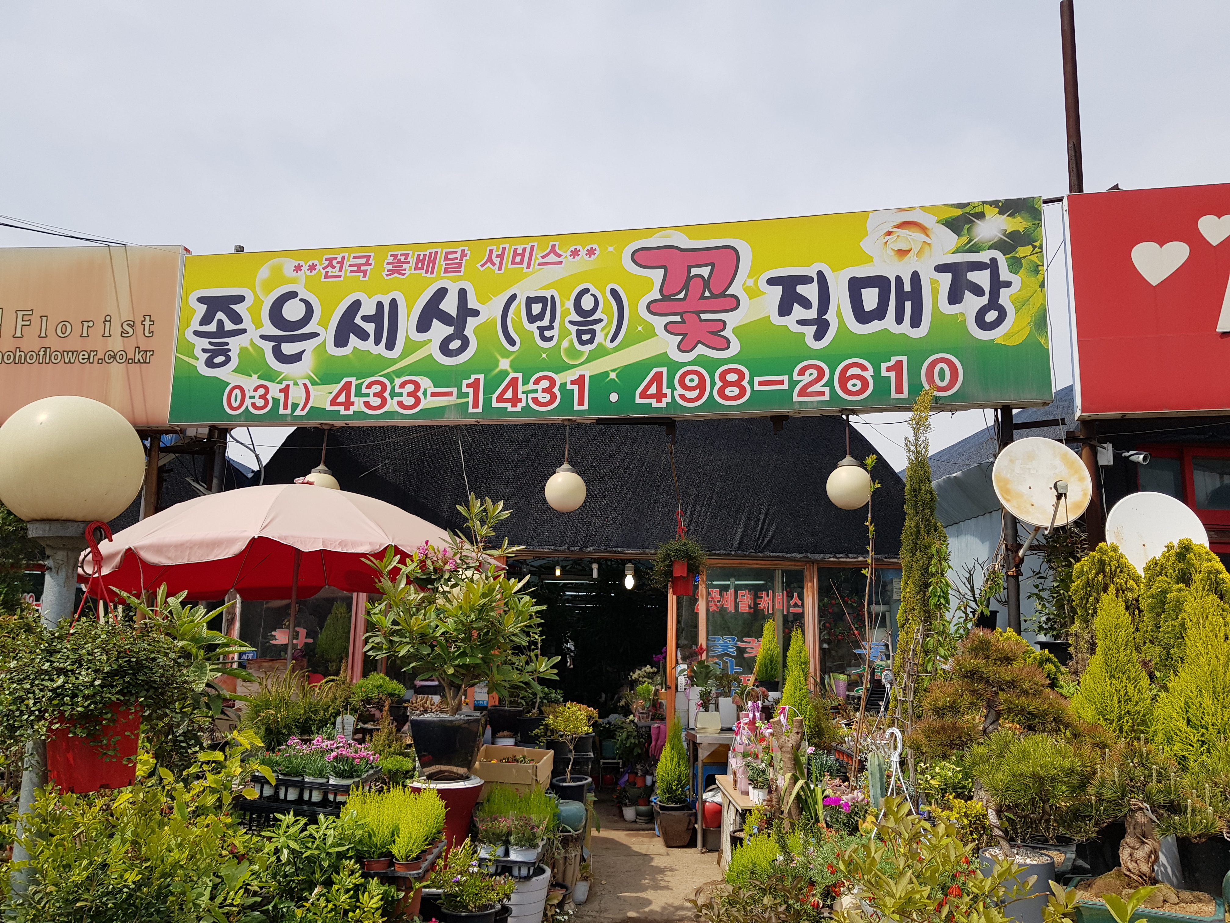좋은세상꽃직판장