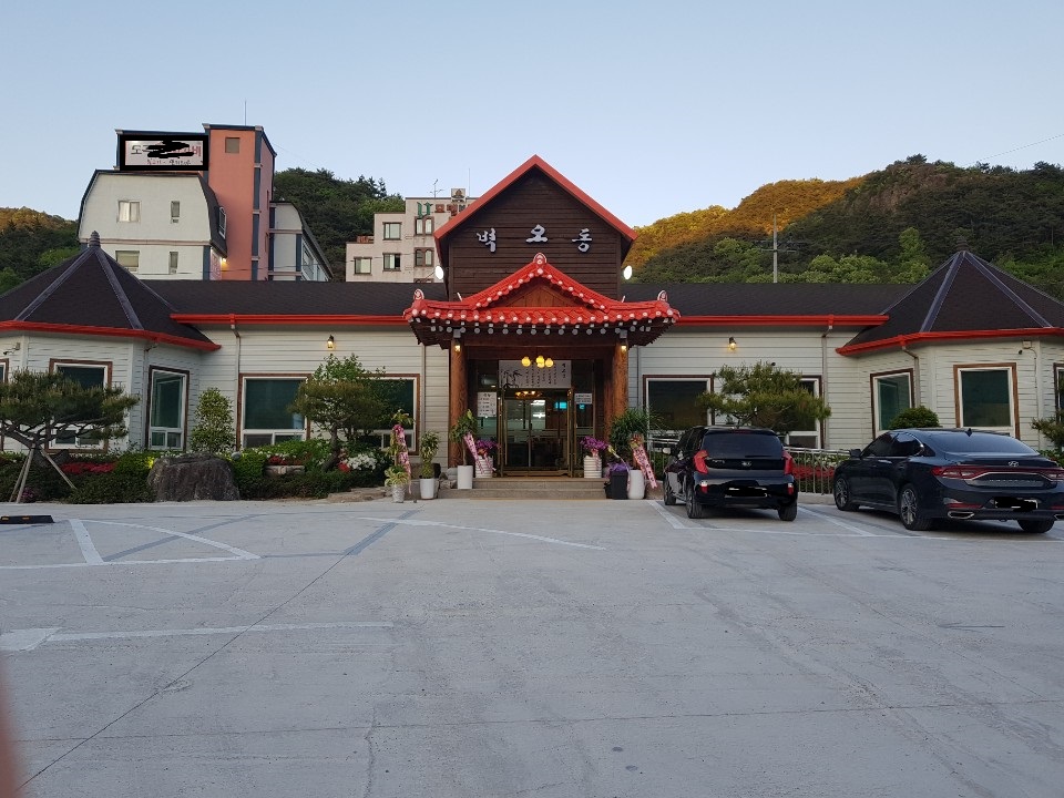 벽오동 도곡점
