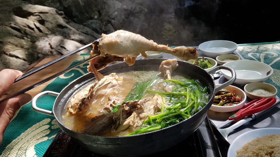 숲속산장