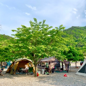 엘림캠핑장