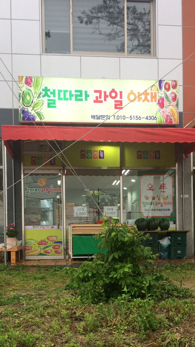 철따라 과일