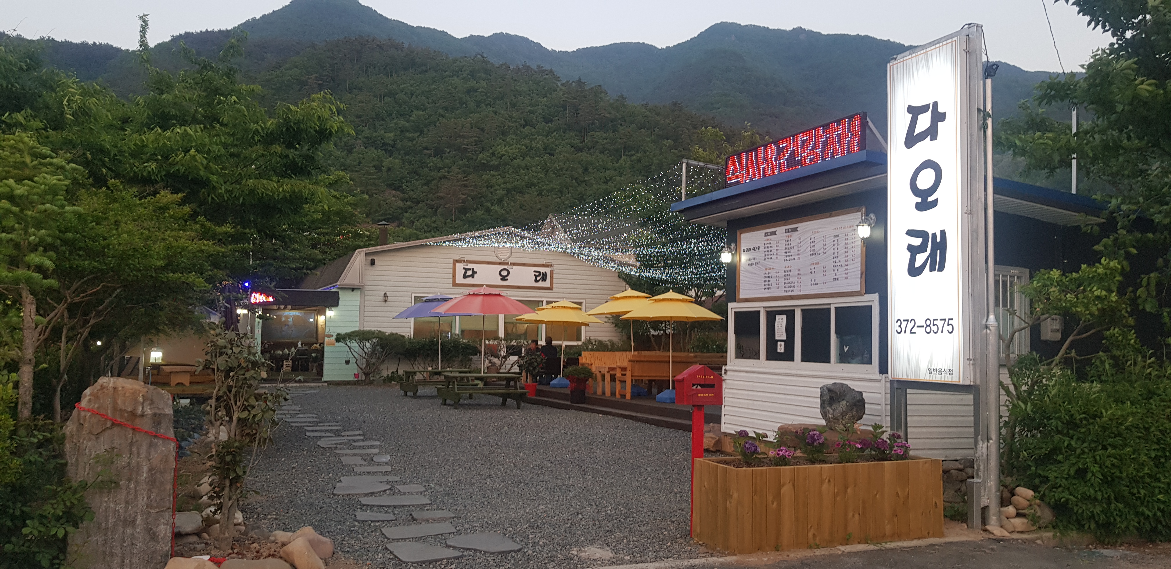 다오래 설명사진
