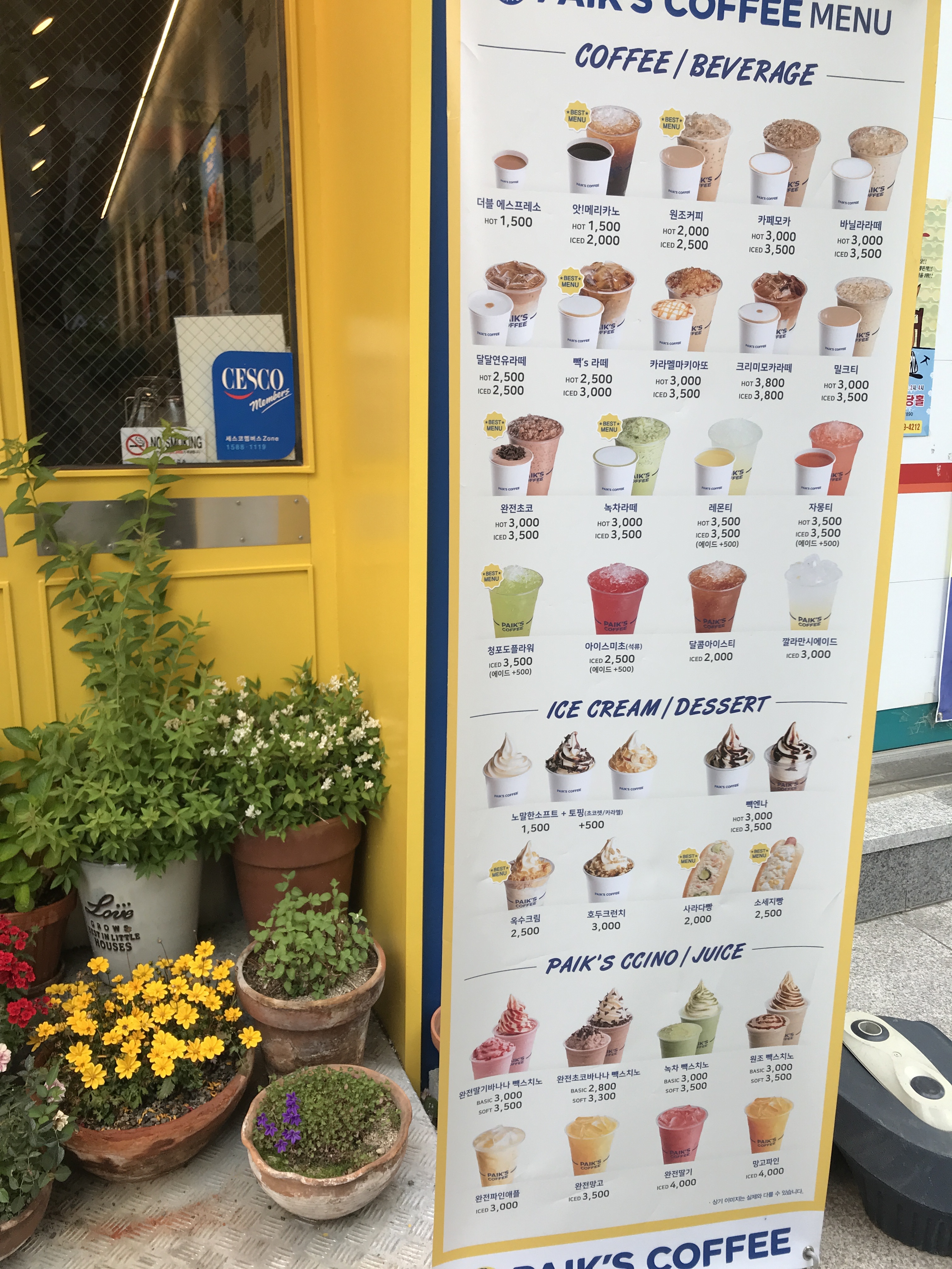 빽다방 강릉교동중앙점