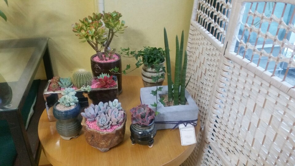 하얀피부 photo 2