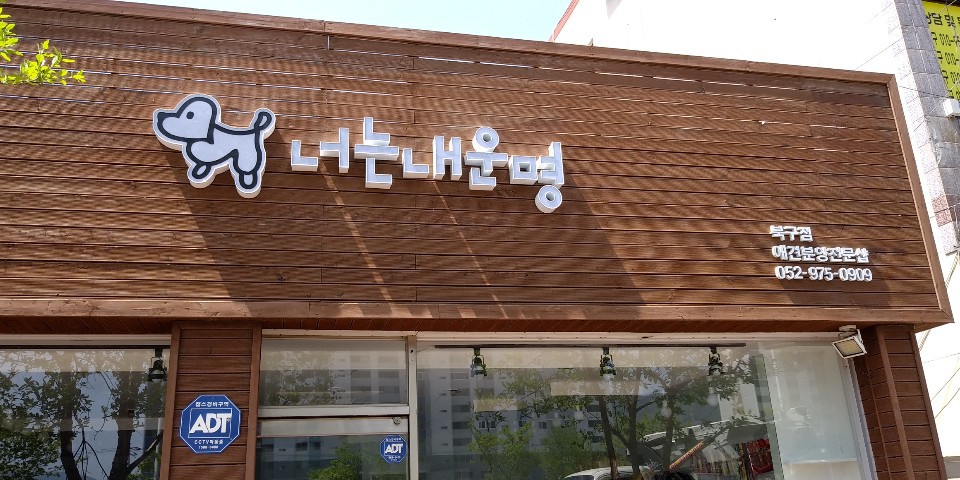 너는내운명 대표 이미지