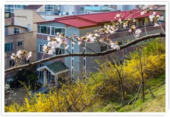 고운선갤러리