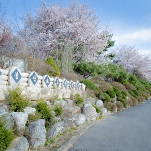 용인비봉산캠핑장