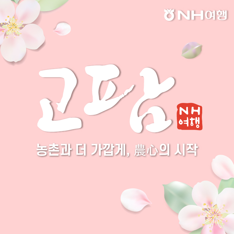 농협네트웍스 NH여행