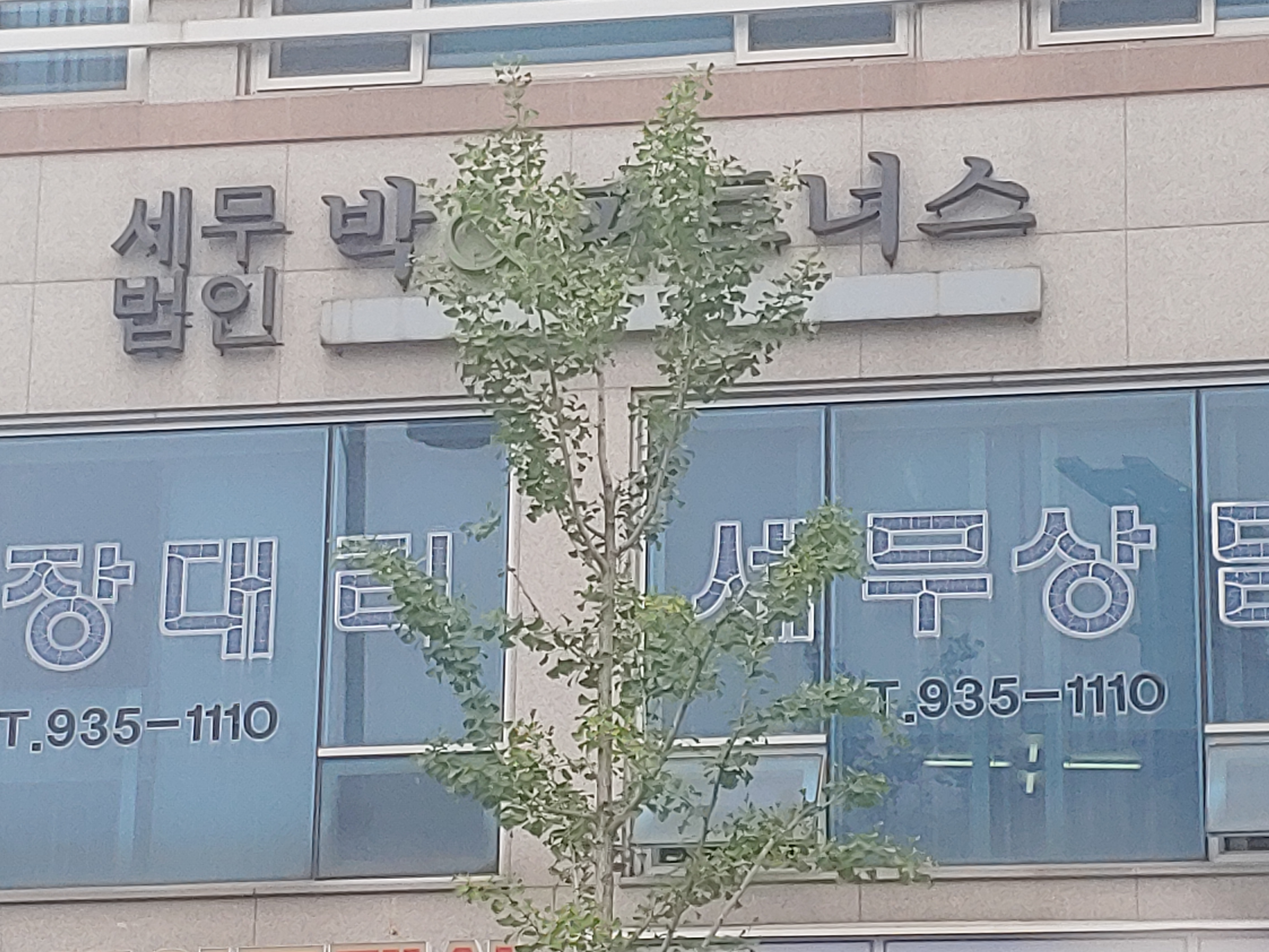 세무법인박앤파트너스대전지사