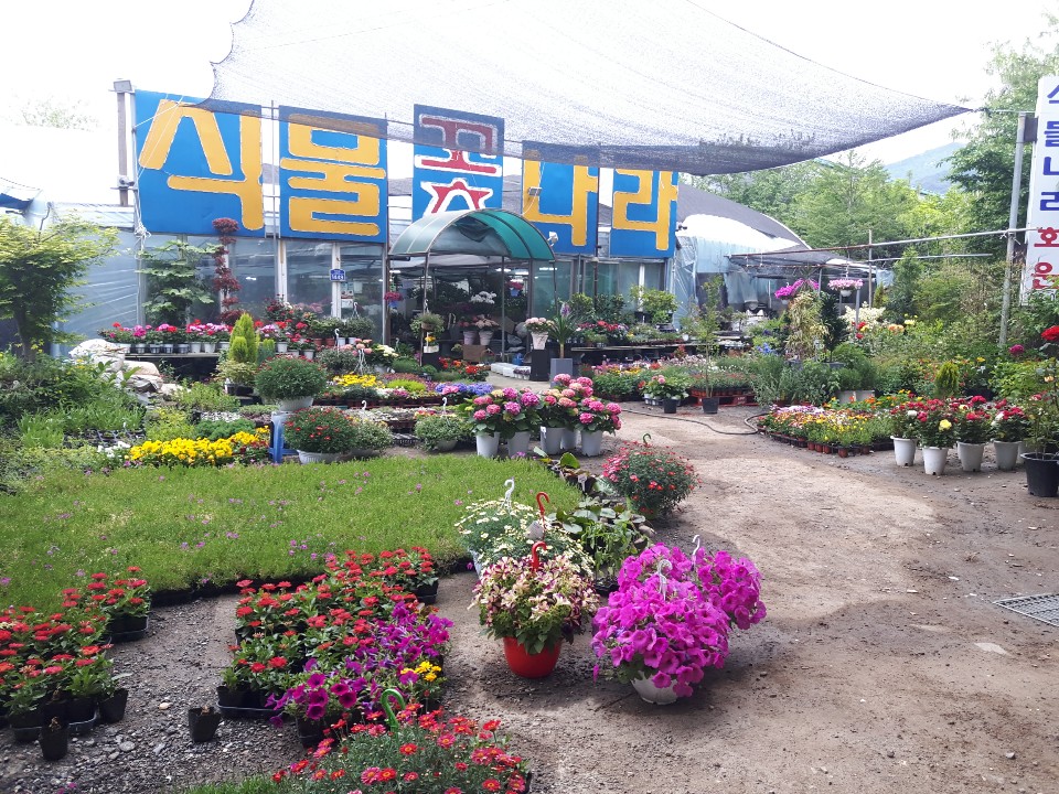 식물나라화원