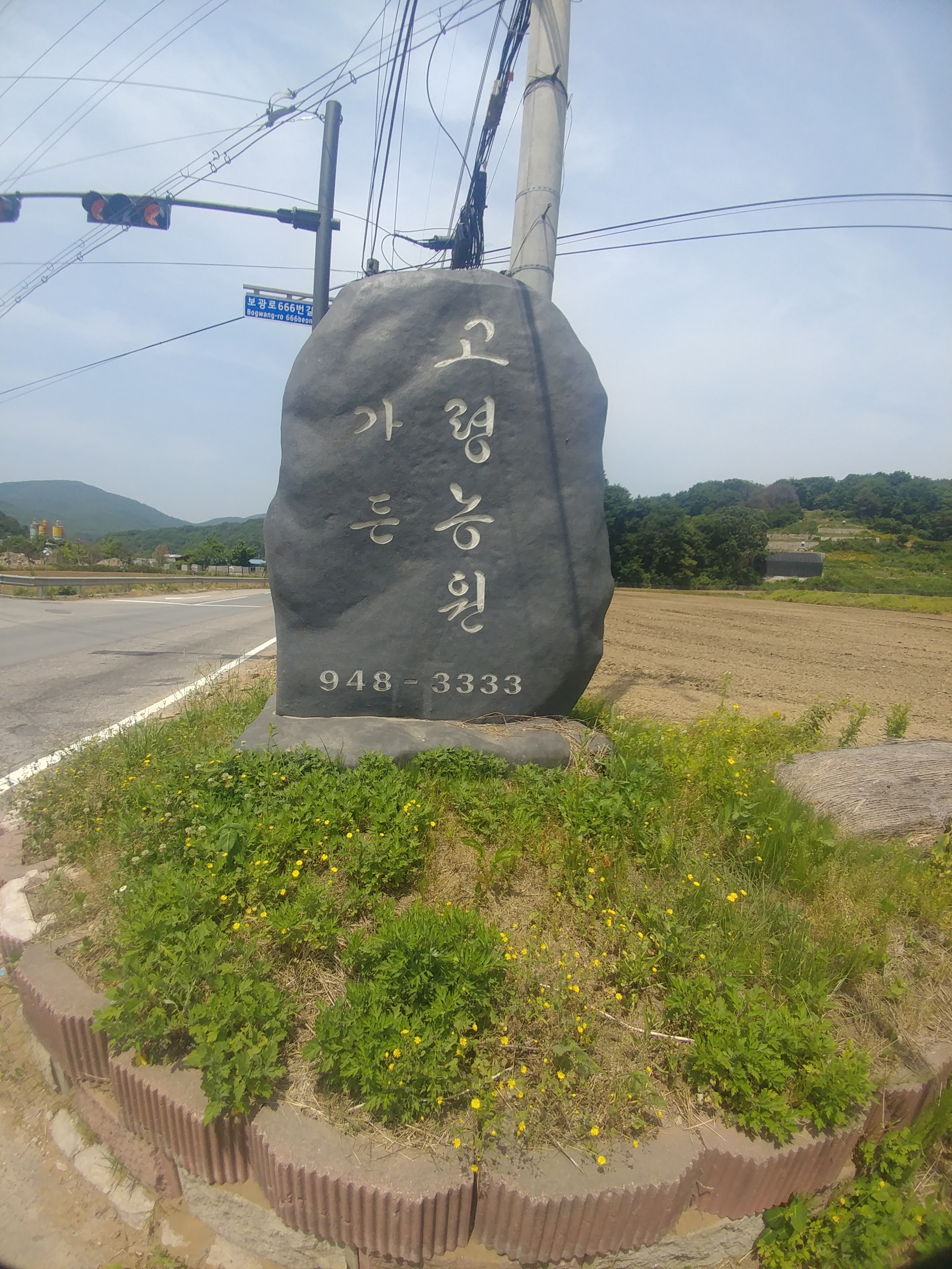 DA.dodo | 경기 파주시 능이백숙 추천 가까운 능이백숙맛집 소개합니다 고령농원