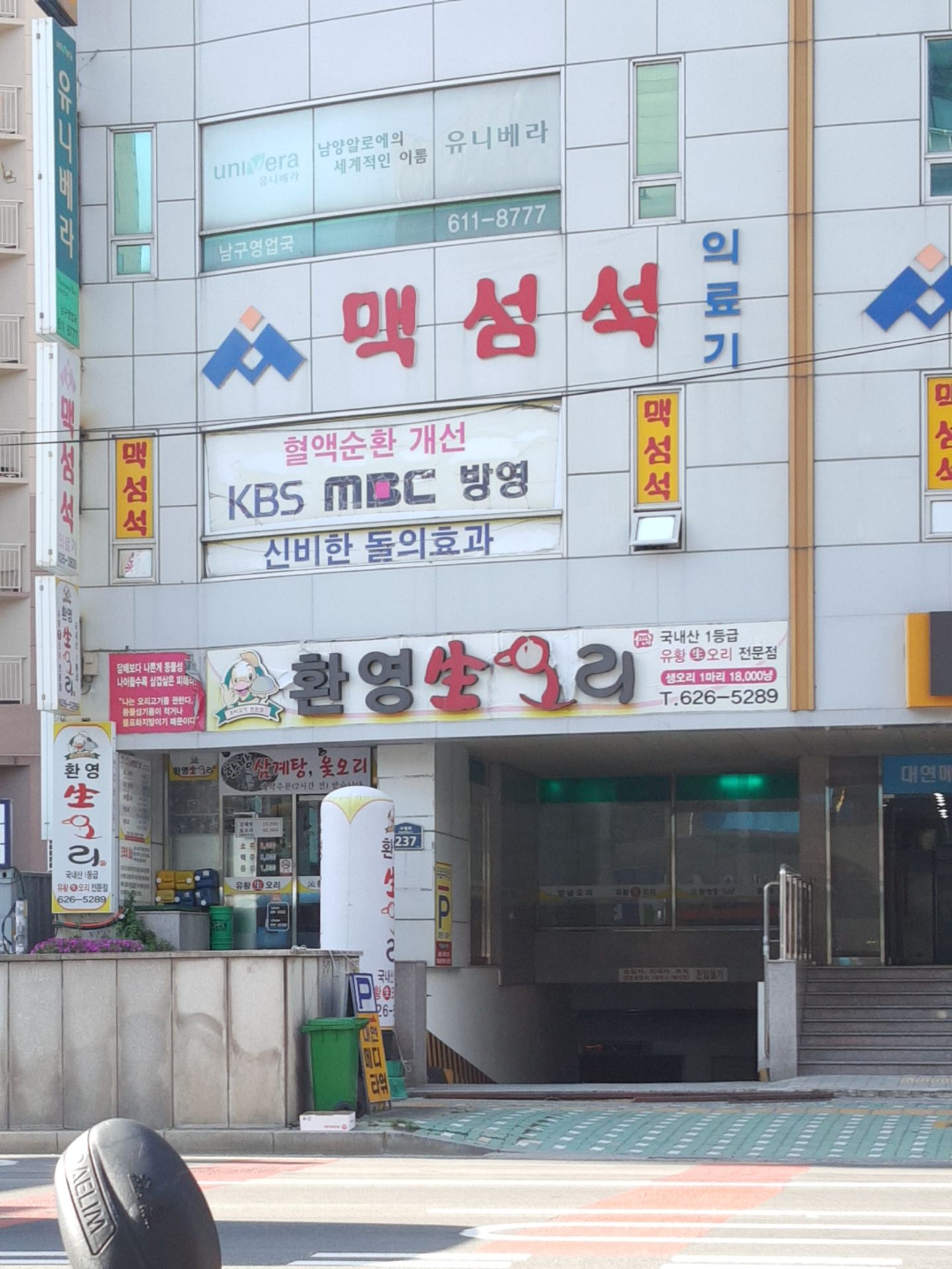 환영생오리