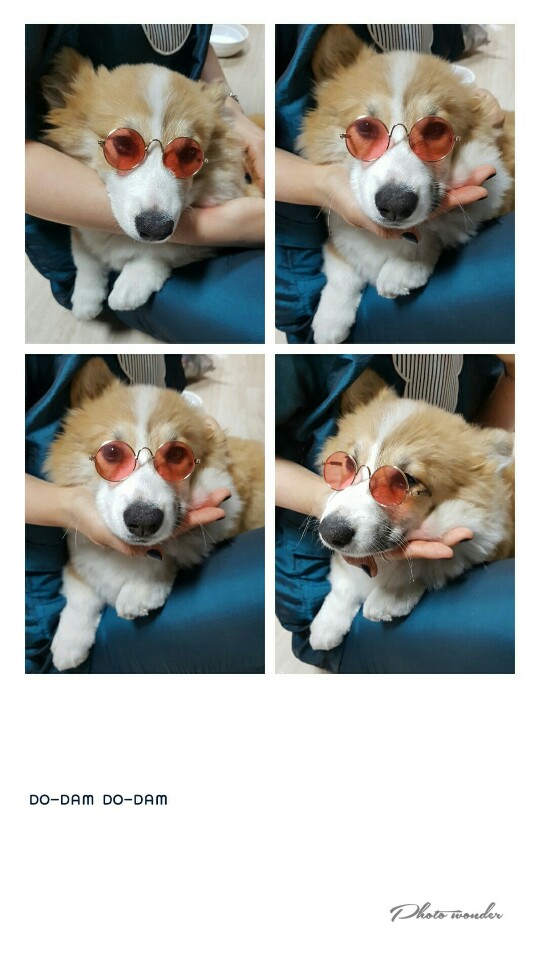 도담도담 대표 이미지