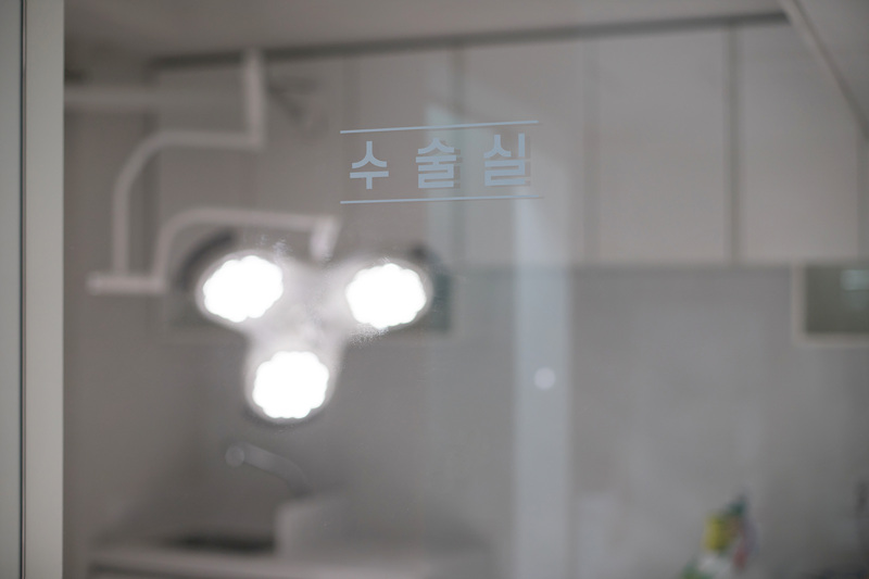 메종동물병원 대표 이미지