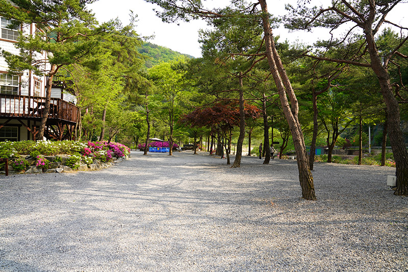 스카이 펜션&캠핑장