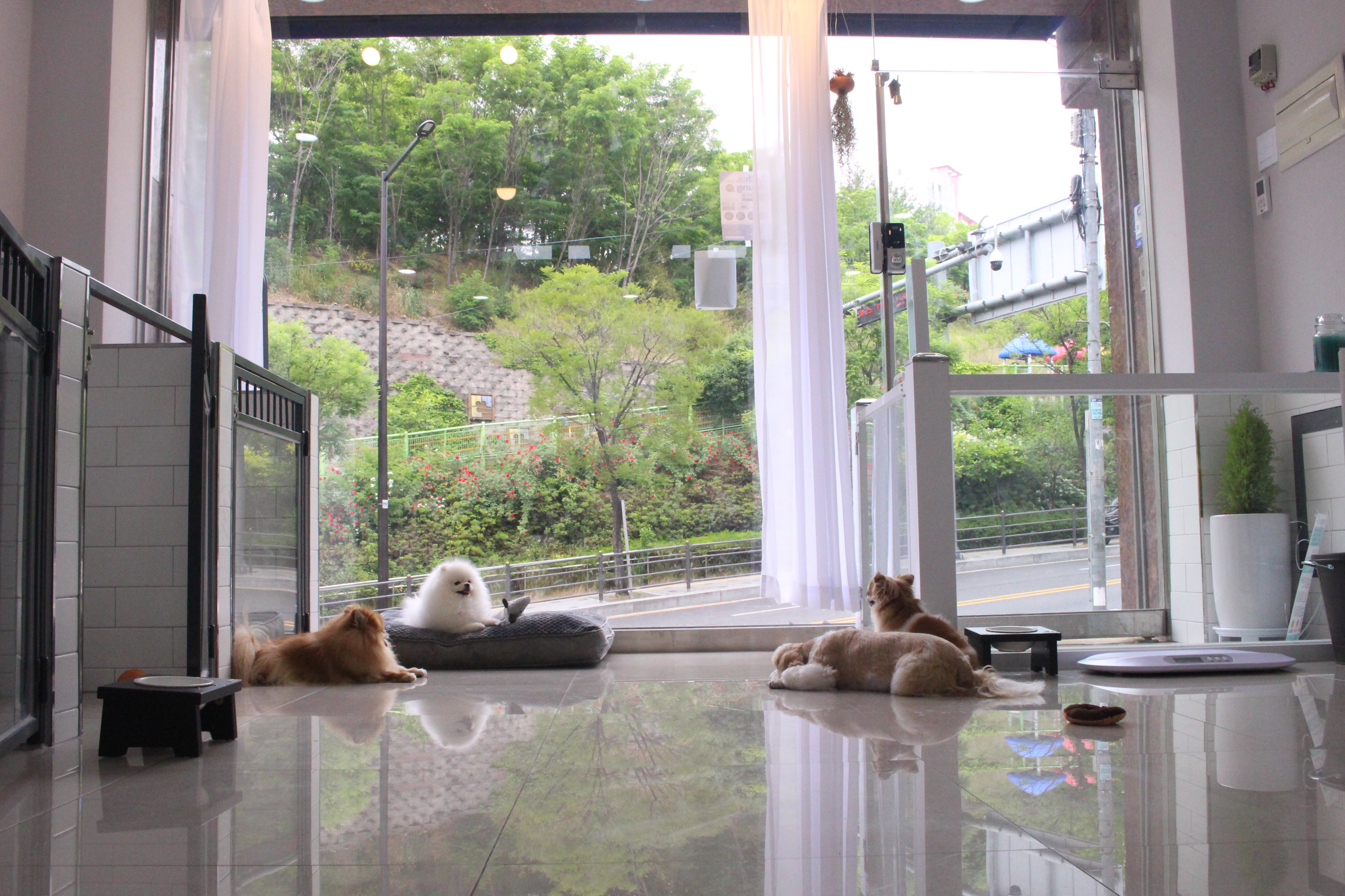 바스멍 대표 이미지