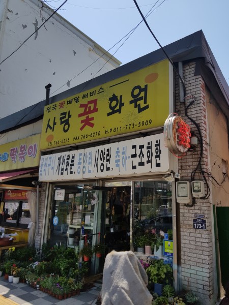 꽃사랑화원