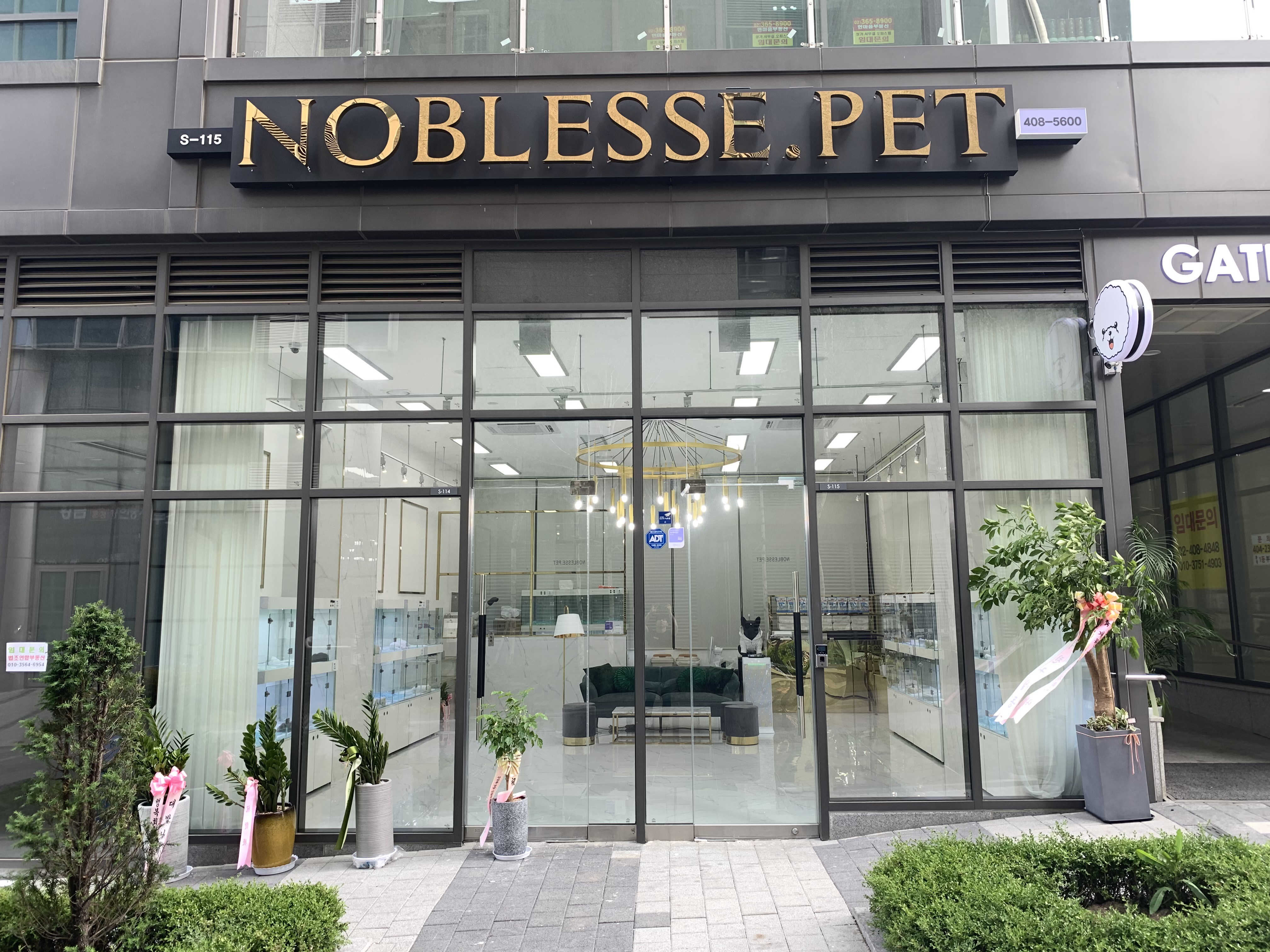 노블레스펫