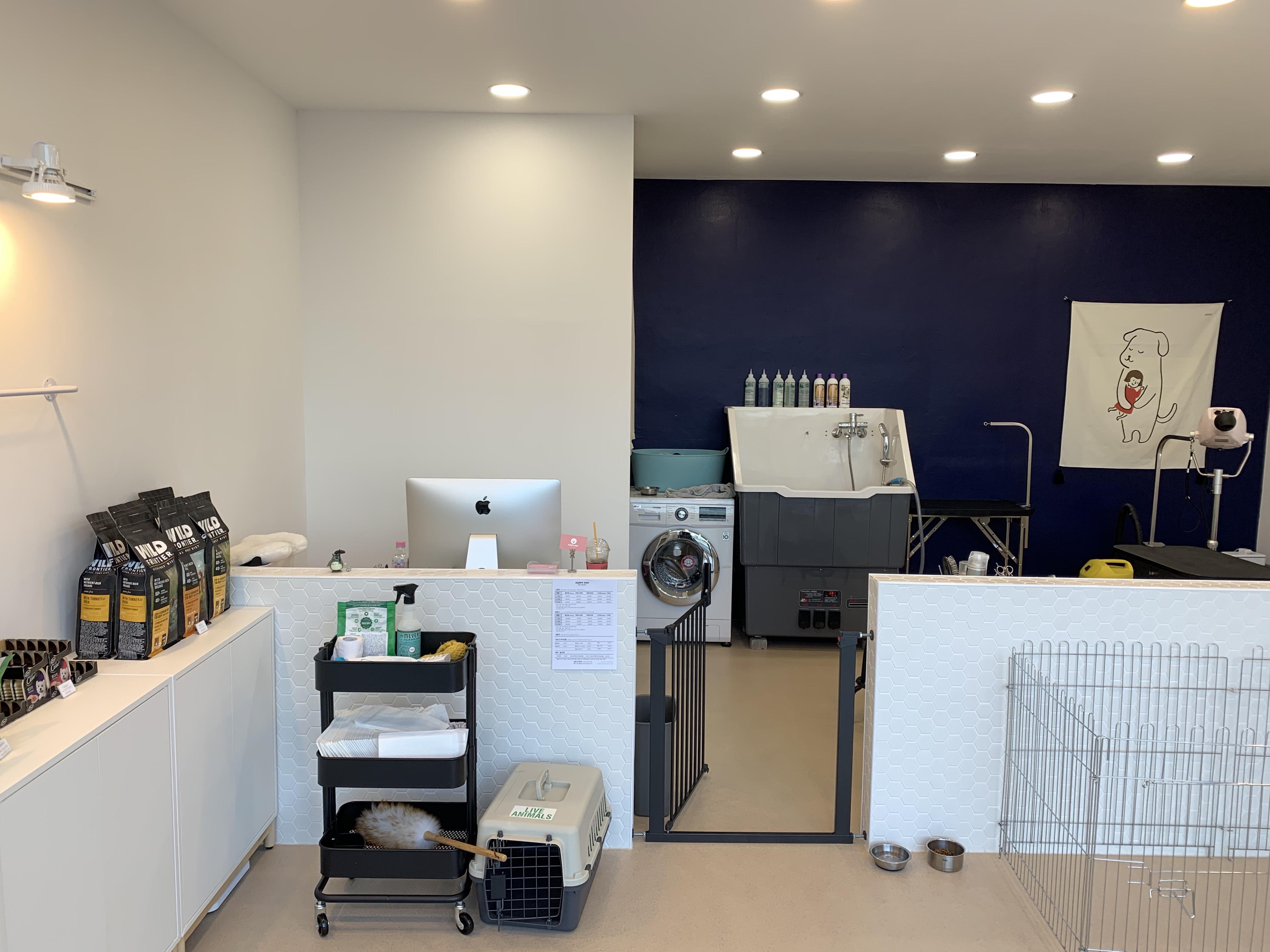 퍼피팝 대표 이미지