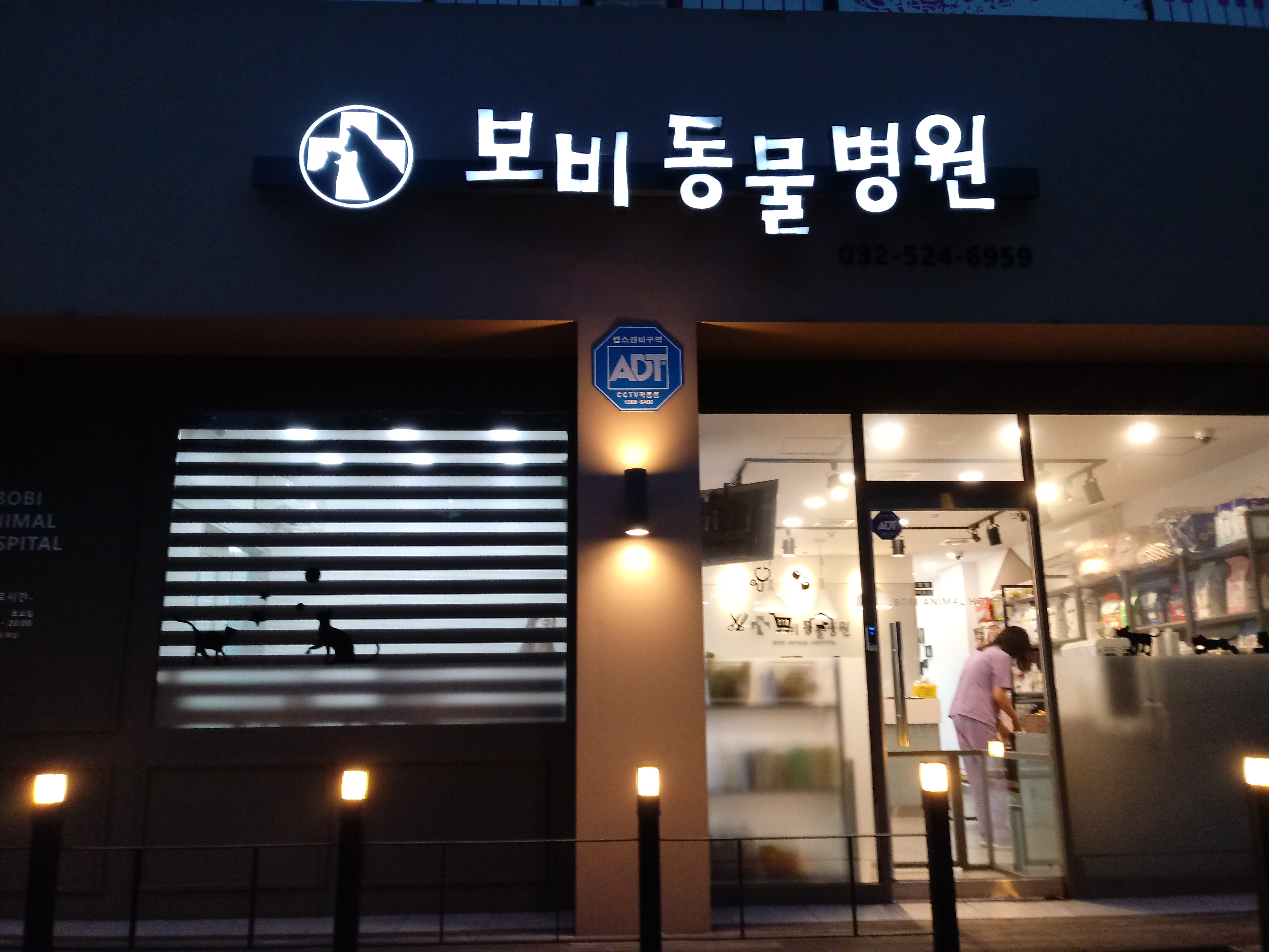 보비동물병원