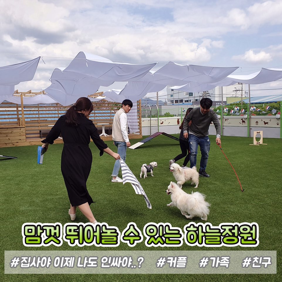 모꼬지댕카페 10