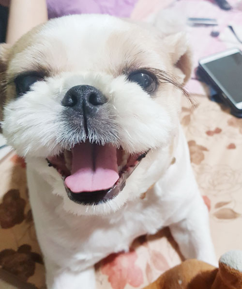 동물보육원 서울신당지부 대표 이미지