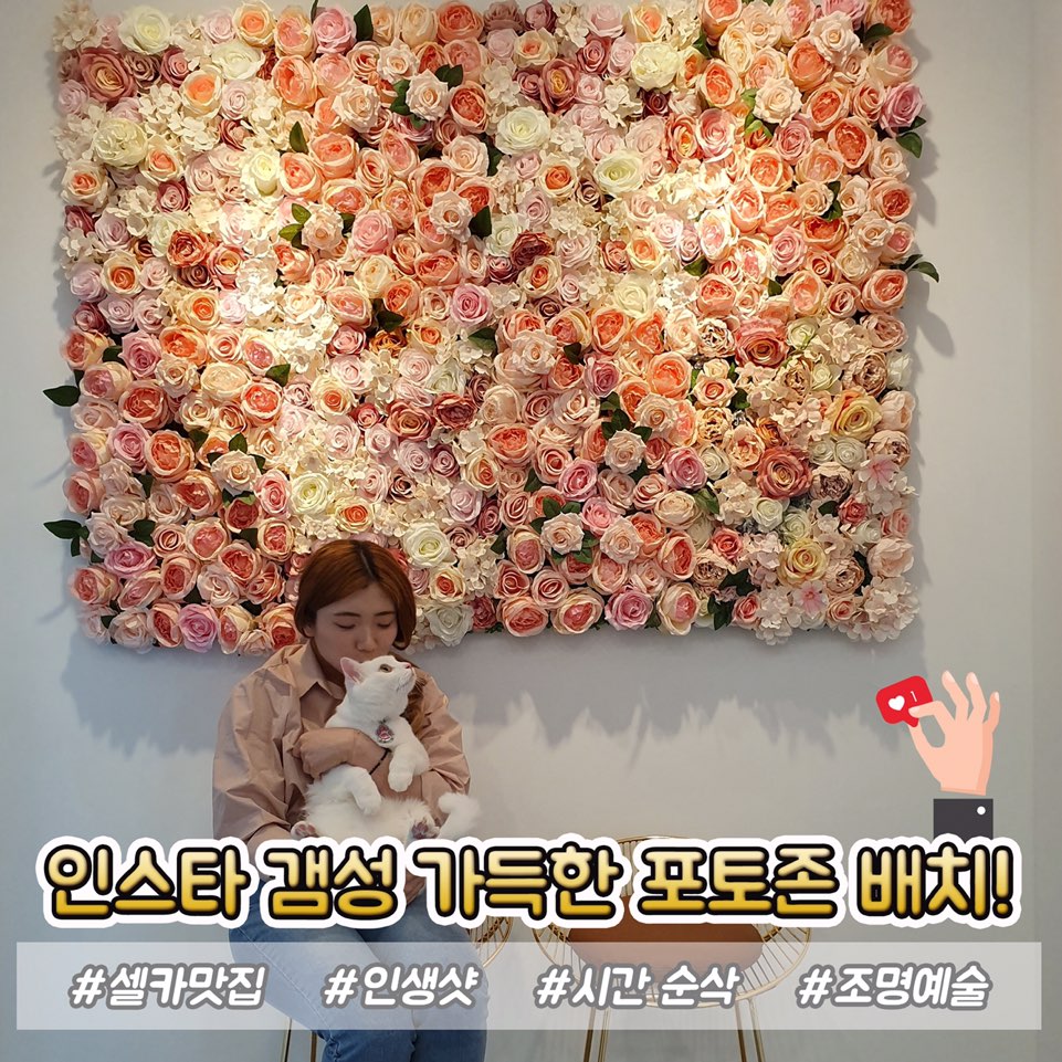클럽펫월드 대구 검단점 대표 이미지