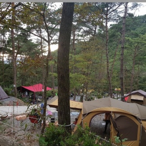 두레관광농원 아리솔캠핑장
