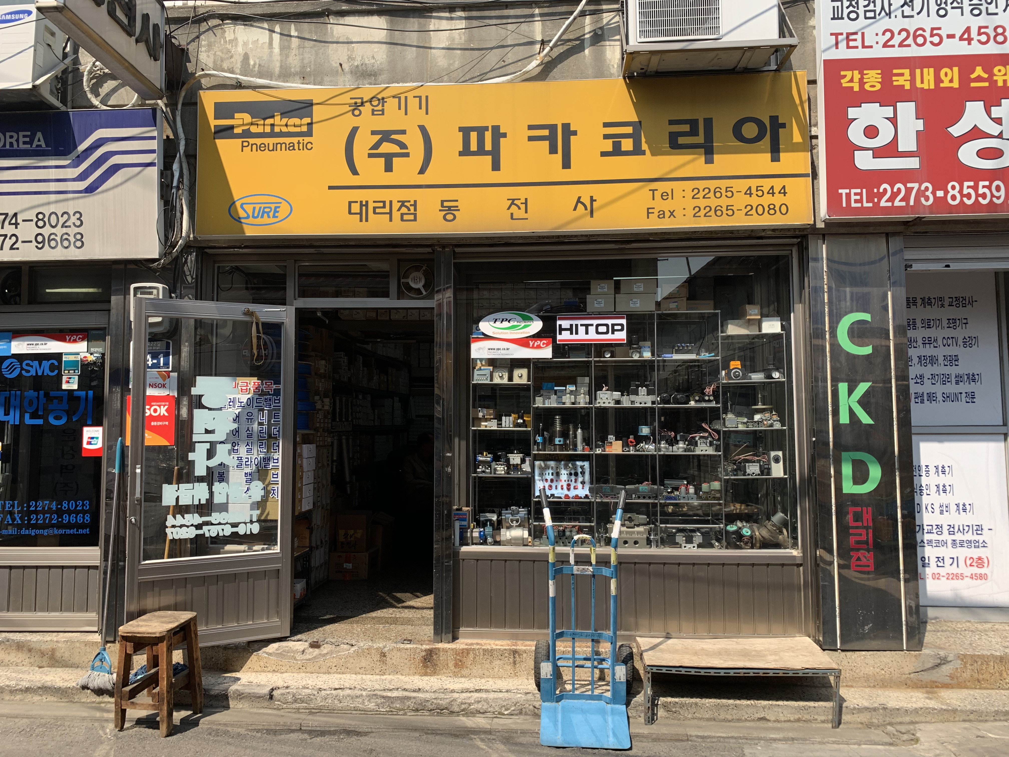 동전사