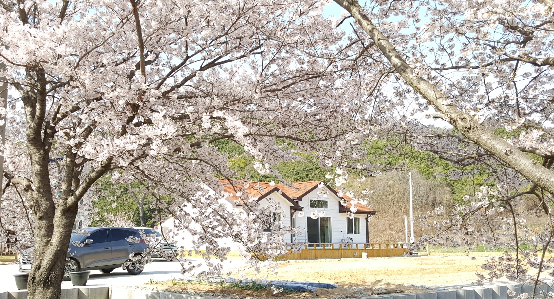꿈터