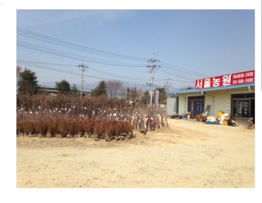 서울농원