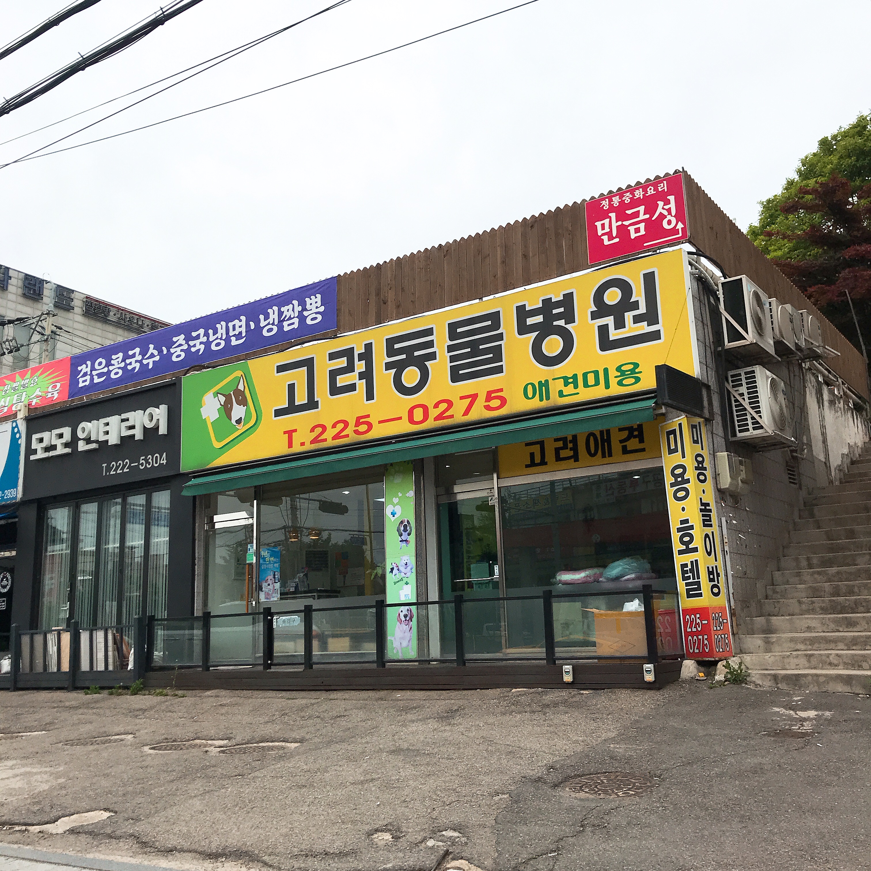 고려동물병원 내부 또는 관련 모습