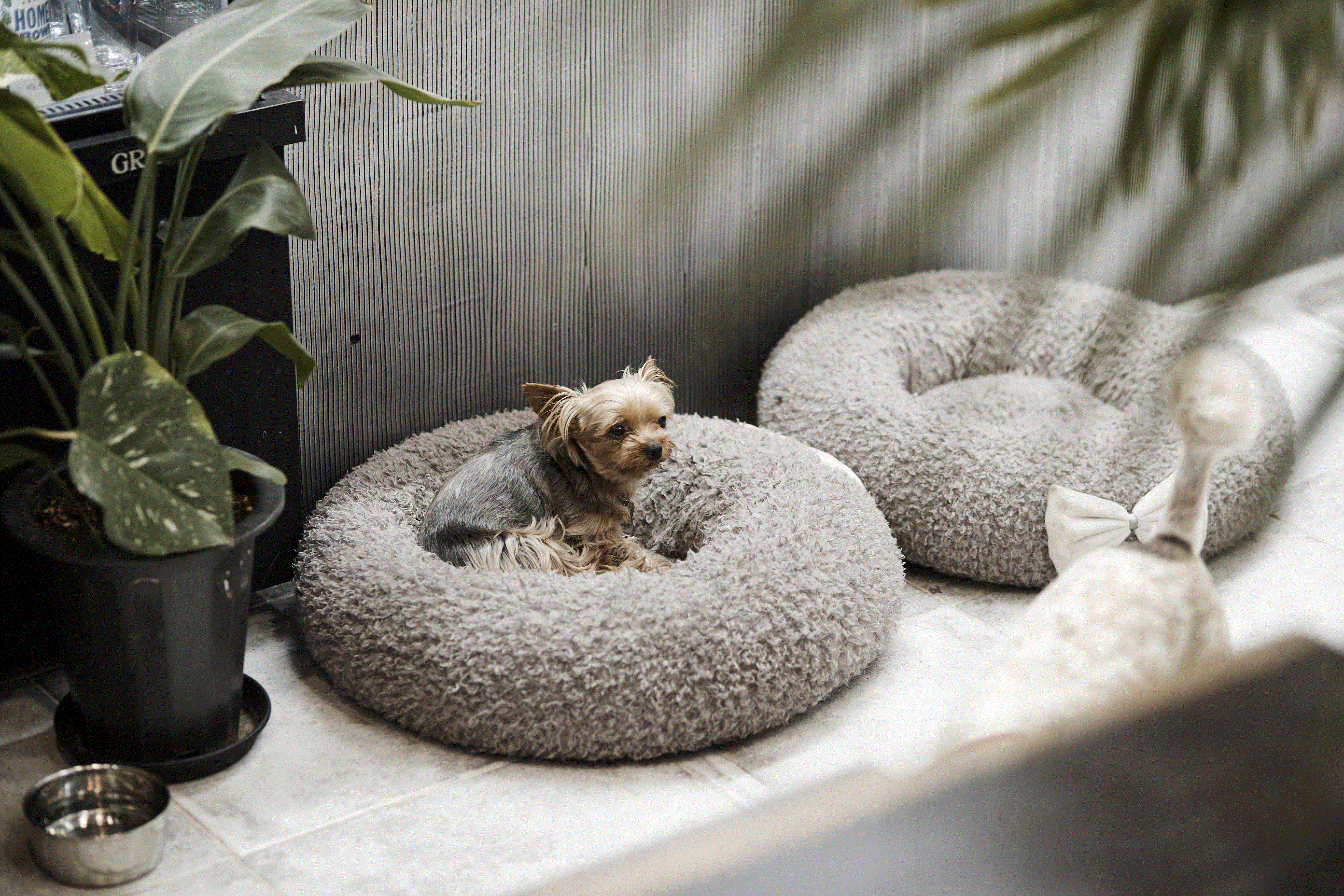 콩닥동물의료센터 대표 이미지