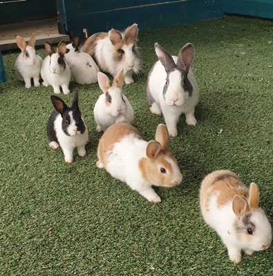 미사리승마공원
