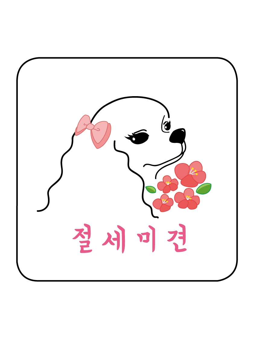 절세미견 대표 이미지