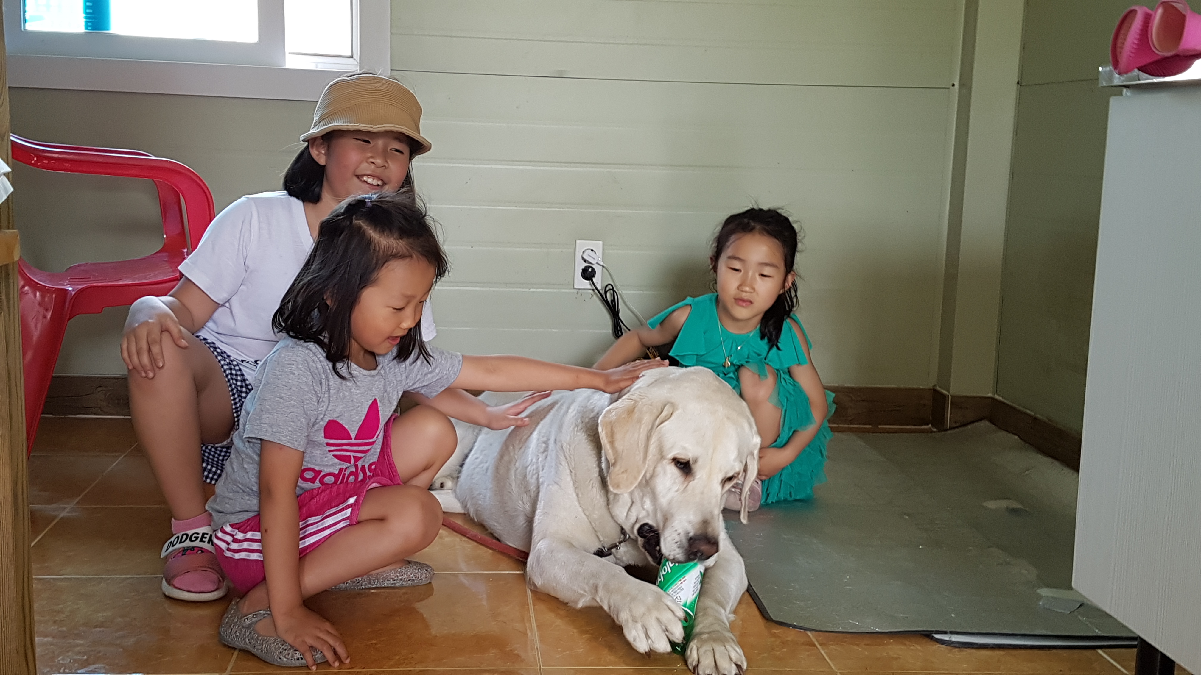 가평물골숲계곡오토캠핑장