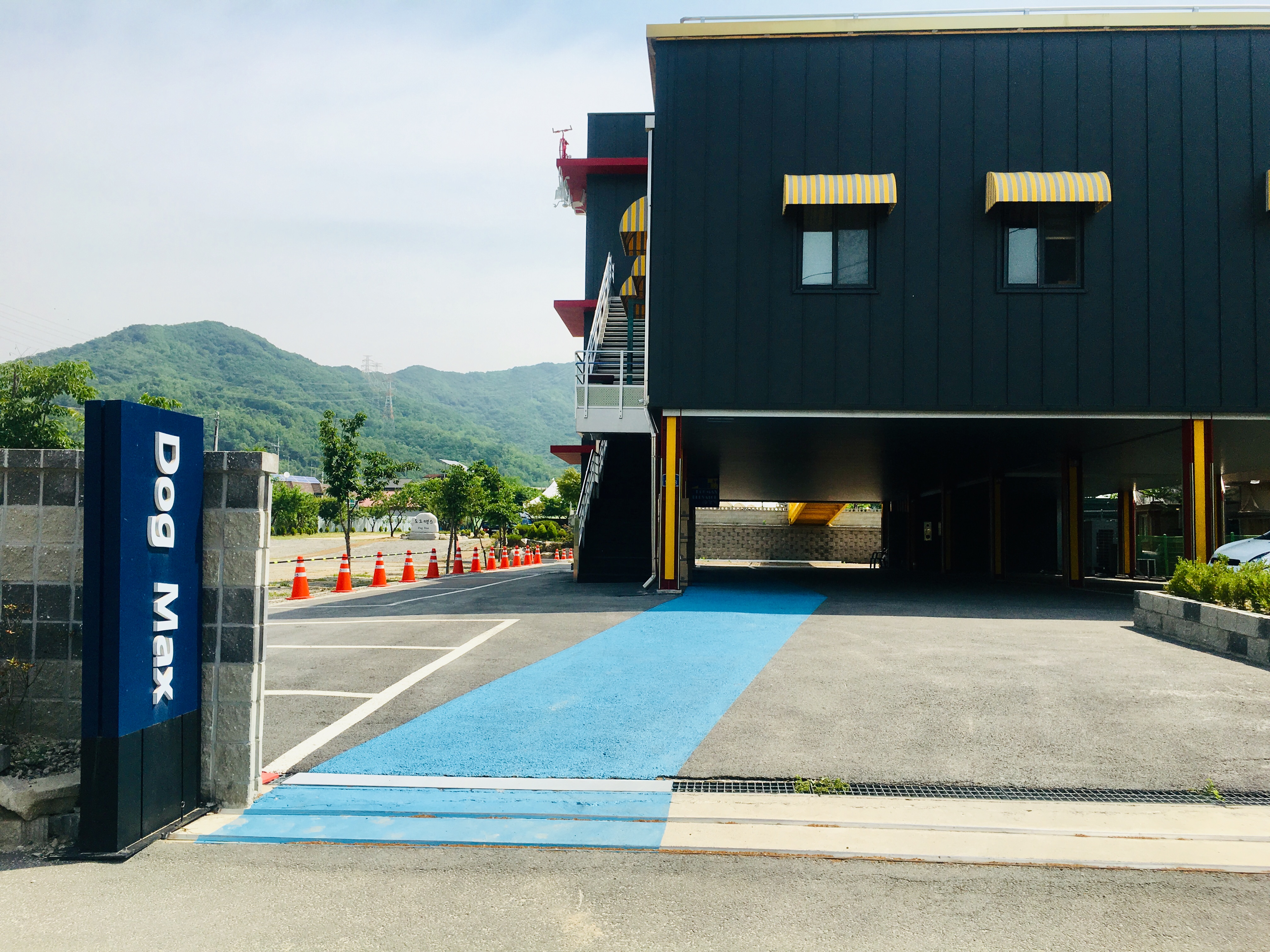 도그맥스