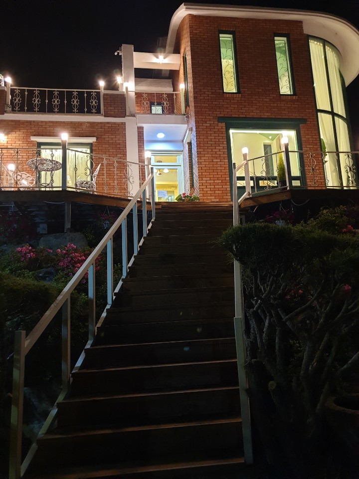 달꽃언덕