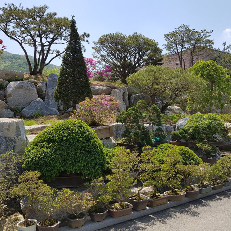 라성관광농원