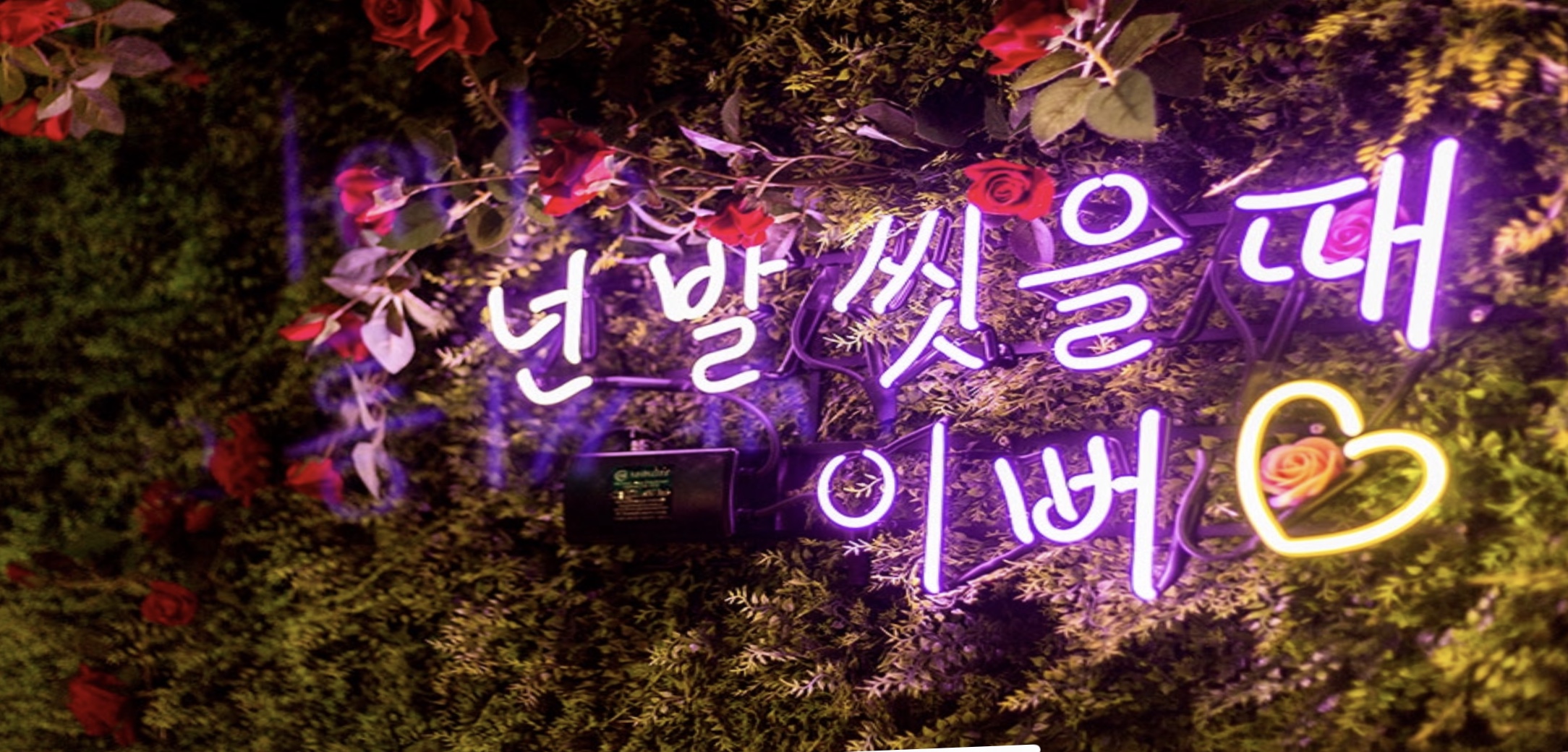 미아굿타이 photo 7