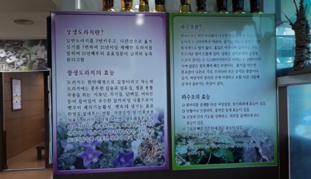 산야초